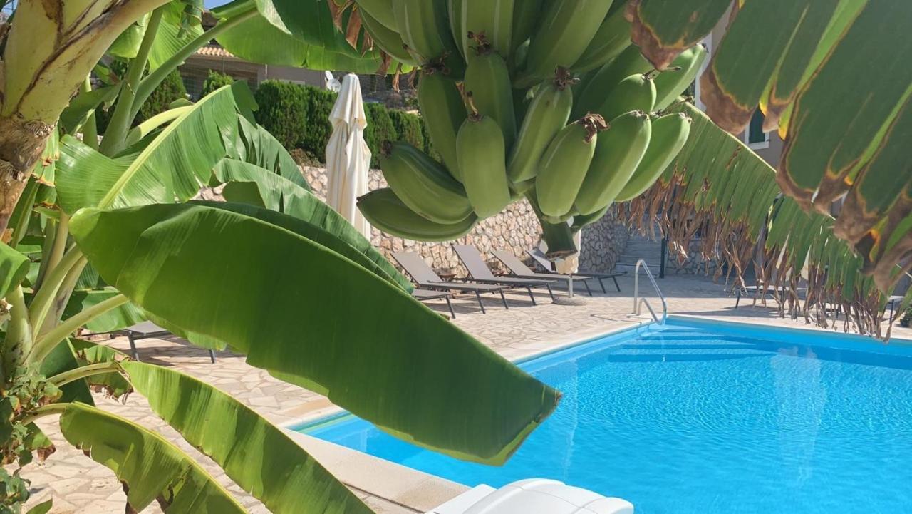 Katarina Apartments Kefalonia - Sea View Argostoli  Luaran gambar