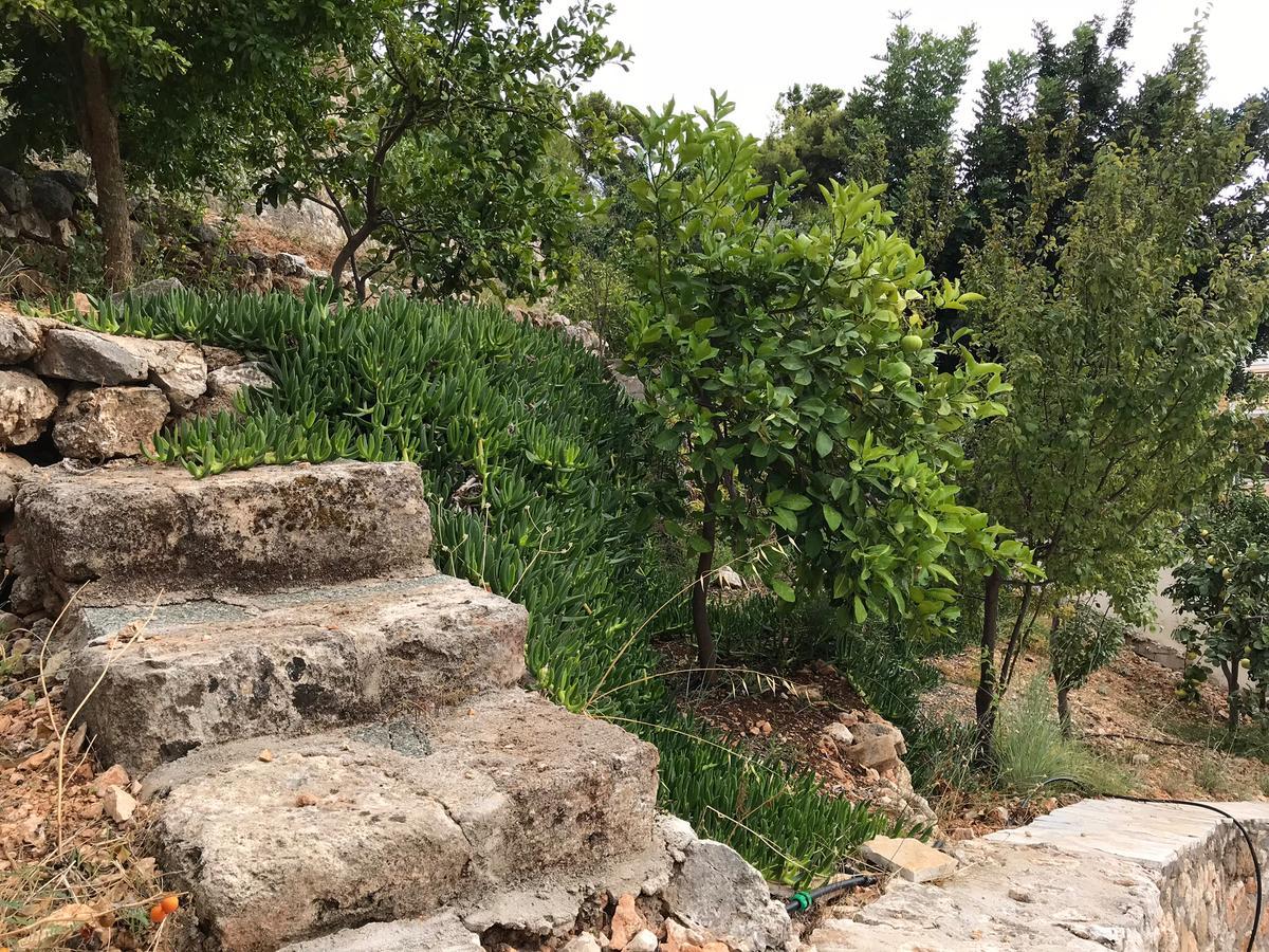Katarina Apartments Kefalonia - Sea View Argostoli  Luaran gambar
