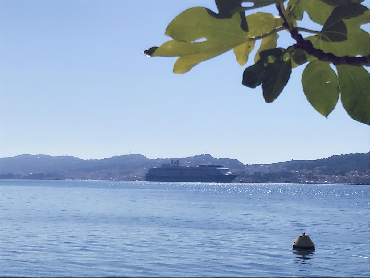 Katarina Apartments Kefalonia - Sea View Argostoli  Luaran gambar