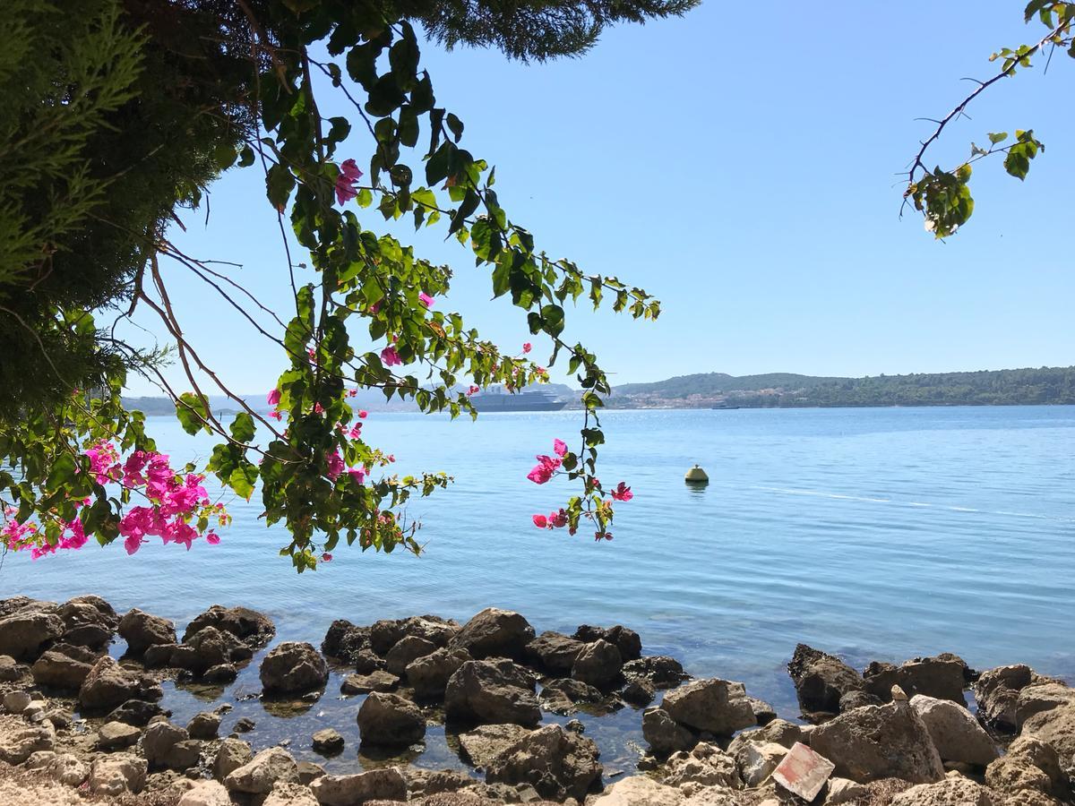 Katarina Apartments Kefalonia - Sea View Argostoli  Luaran gambar